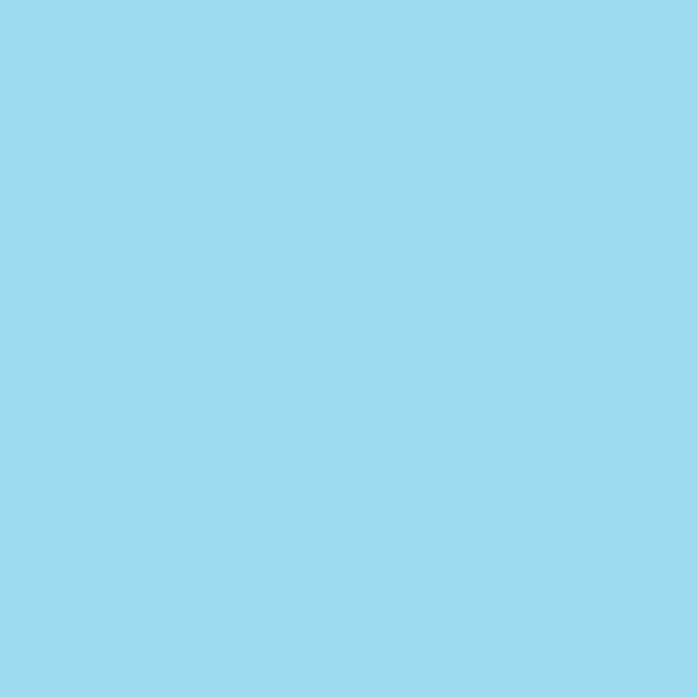 con-vit_1