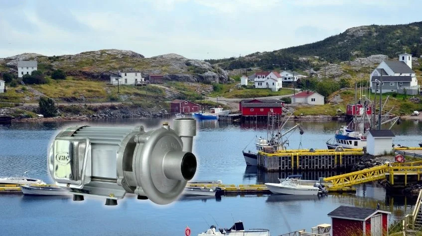 may_bom_nuoc_cao_ap_inox_tan_hoan_cau_s-1100_2hp_2