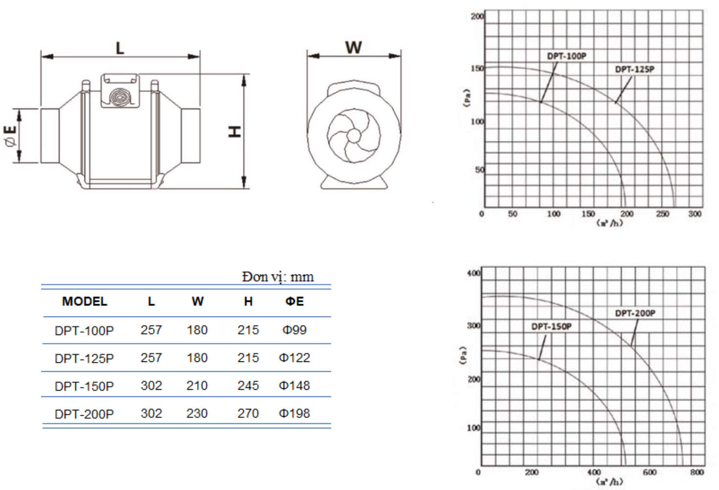 nanyoo_dpt_1