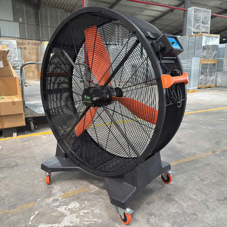 quat_ifan_yt-1450