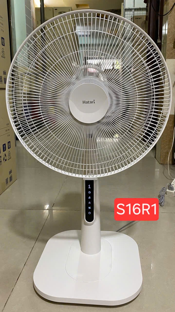 quat_lung_hatari_s16r1_4