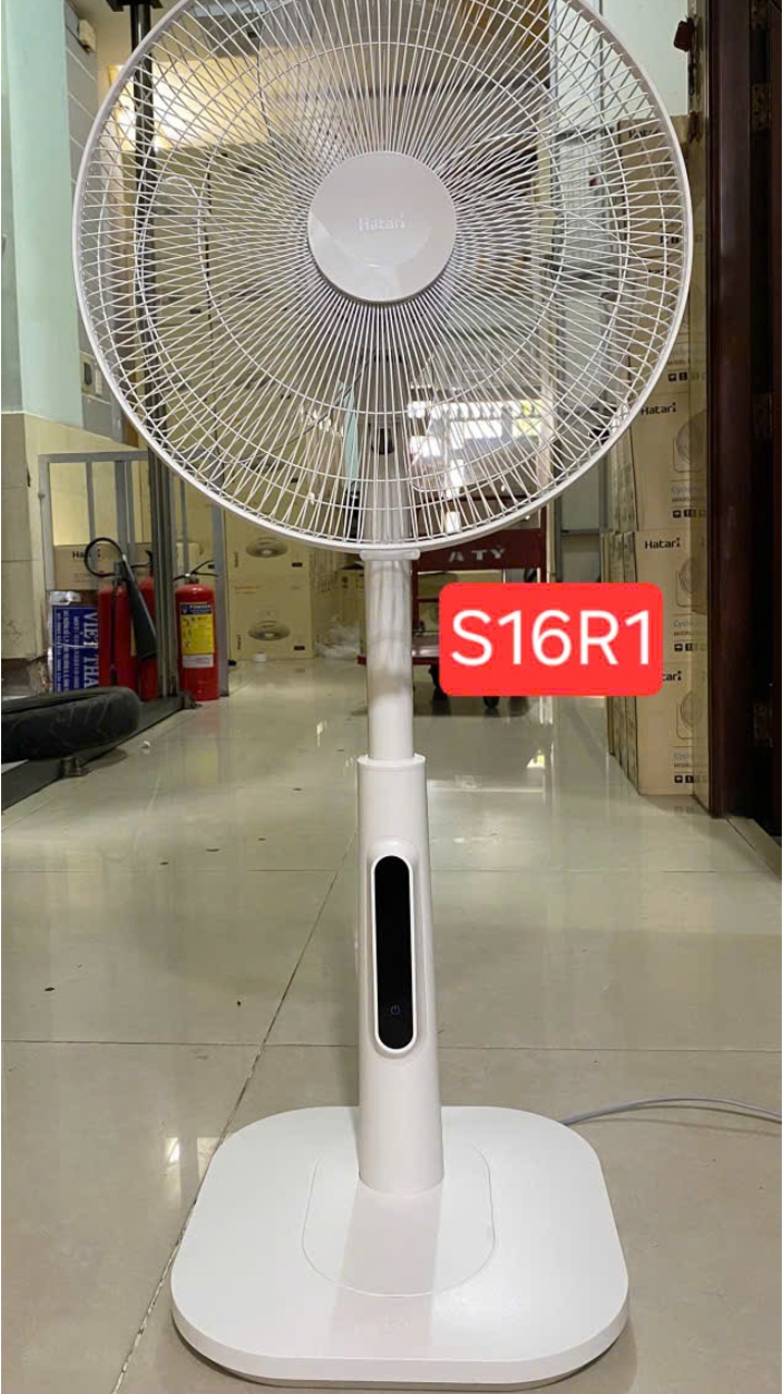 quat_lung_hatari_s16r1_5