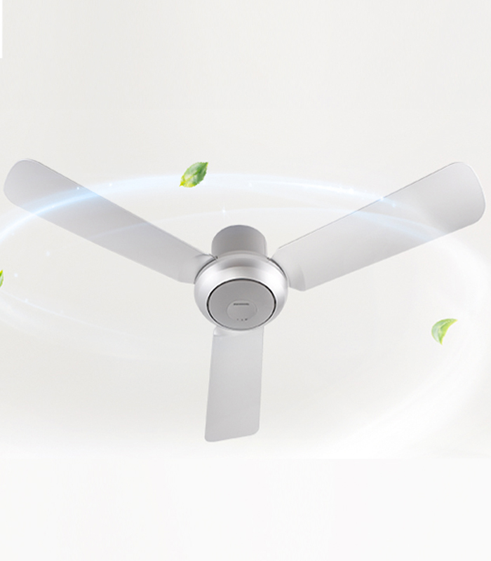 quat_tran_3_canh_panasonic_f-48czl