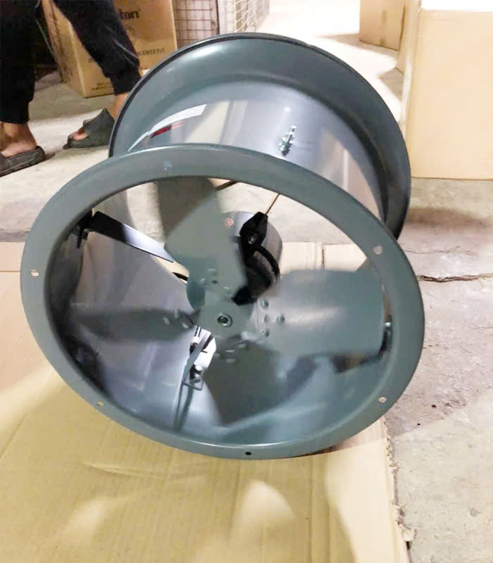 z6560629076186_dd8e7802f6ac33c1ae658c5d18d6c42a