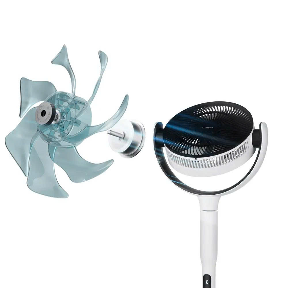 z6736282452994_fc9847295ae5644a1a0365c5a178daab