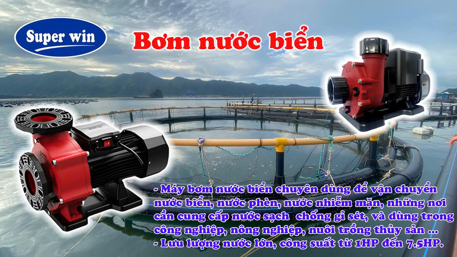 z7398591712217_abdc5991c09153474f40ad2d770cbabe