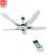 Quạt trần 5 cánh KDK Z60WS