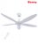 Quạt trần Benny BF-C54HE