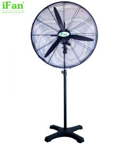 Quạt đứng công nghiệp IFan NS-75