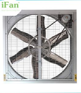 Quạt thông gió nhà xưởng cánh inox IFan 122CSD
